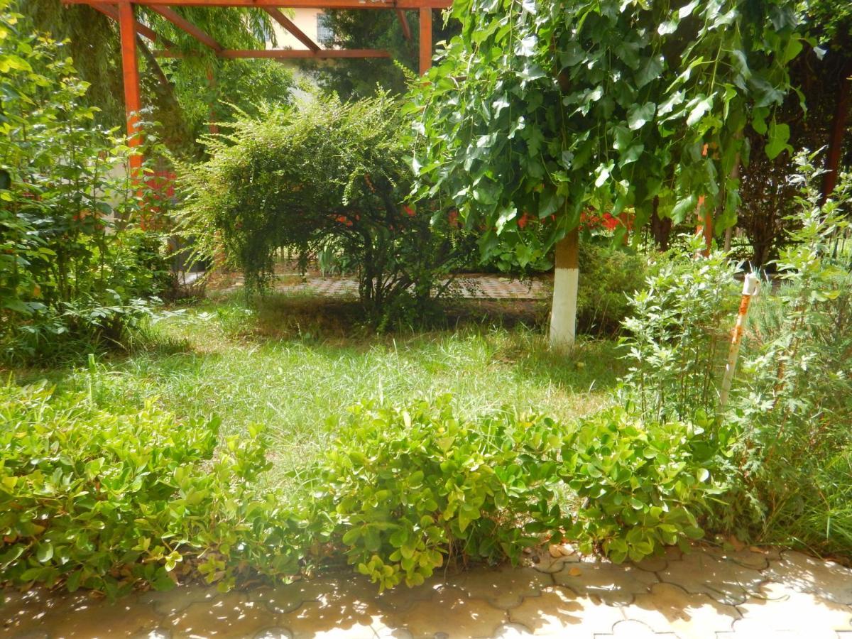 Отель Casa Paloma Костинешти Экстерьер фото